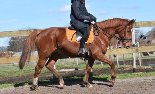 Tabasco nieuwe fotos (10)