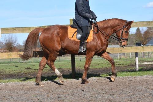 Tabasco nieuwe fotos (13)