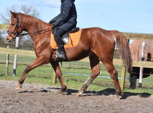 Tabasco nieuwe fotos (6)