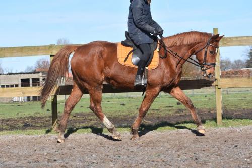 Tabasco nieuwe fotos (8)