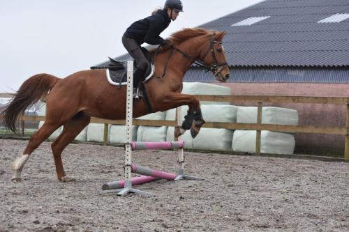 Tabasco springen (1)