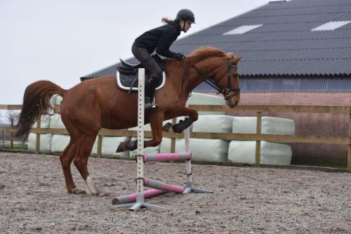 Tabasco springen (3)