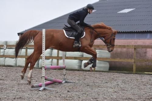 Tabasco springen (4)