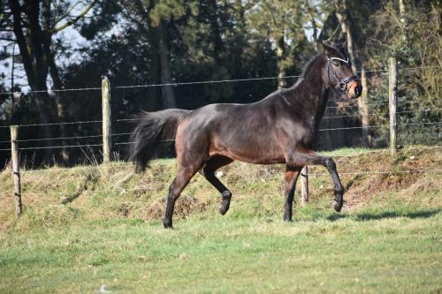 Aladin-vrijfotos-1