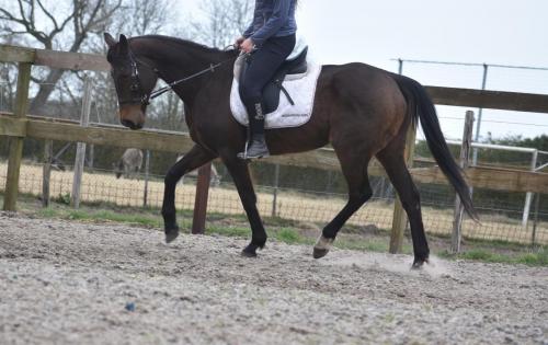 Rana-nieuwe-rijfotos-2