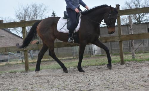 Rana-nieuwe-rijfotos-6