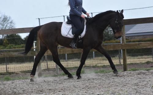Rana-nieuwe-rijfotos-7